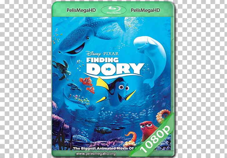 Blu-ray Disc Nemo Digital Copy Marlin DVD PNG, Clipart, Albert Brooks, Andy Stanton, Aqua, Bluray Disc, Digital Copy Free PNG Download