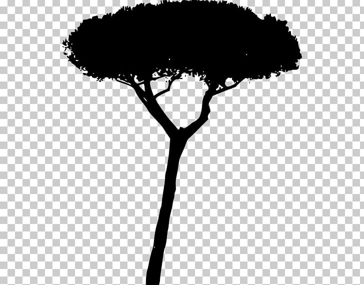 Branch Silhouette PNG, Clipart, Animals, Austral Pacific Energy Png Limited, Black, Black And White, Branch Free PNG Download