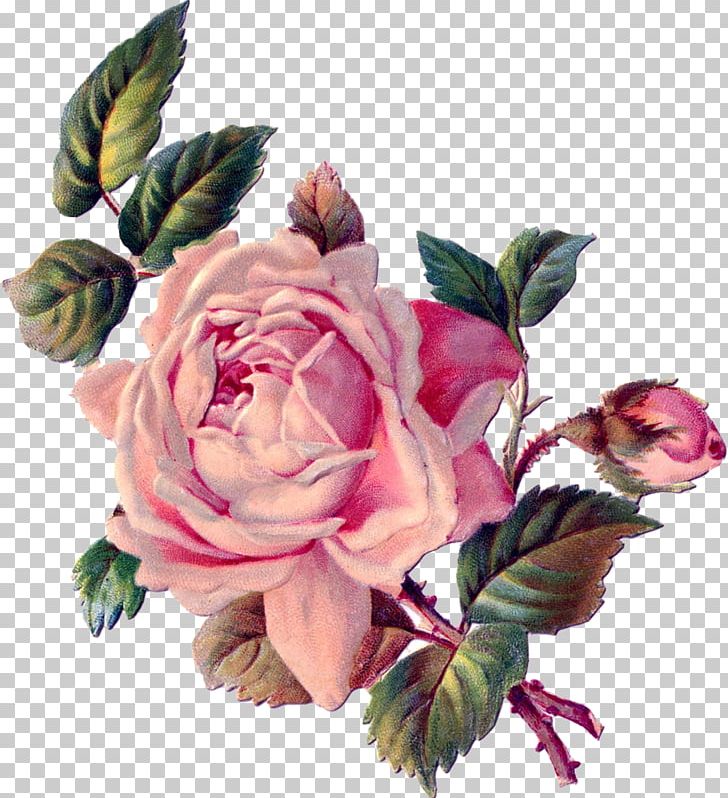 Flower Rose Paper PNG, Clipart, Decoupage, Floral Design, Floristry, Flower, Flower Arranging Free PNG Download