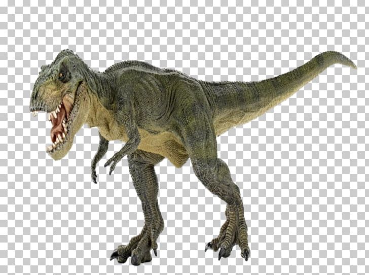 Giganotosaurus Tyrannosaurus Rex Argentinosaurus Brachiosaurus Spinosaurus PNG, Clipart, Ancient, Animal, Biological, Cute Dinosaur, Dinosaur Free PNG Download