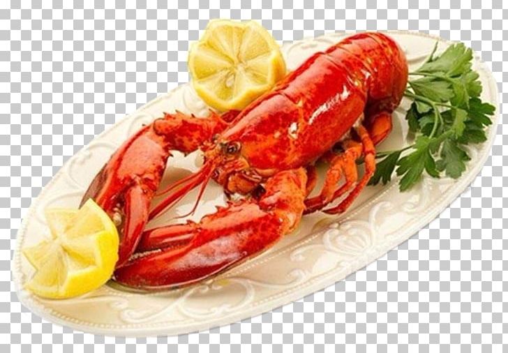 Lobster Thermidor Seafood Chowder Dish PNG, Clipart, Animals, Animal Source Foods, Boston Lobster, Boston Terrier, Boston Terrier Dog Free PNG Download