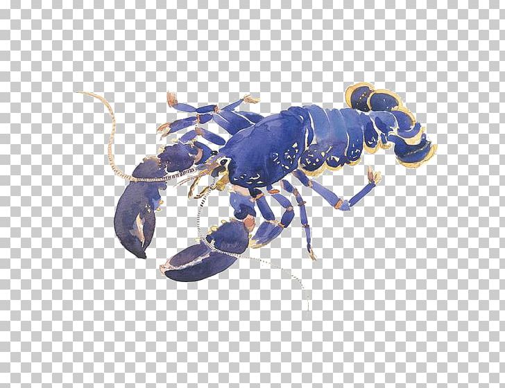Red Lobster Crab Seafood Palinurus Elephas PNG, Clipart, Animals, Animal Source Foods, Arthropod, Deductible, Food Free PNG Download