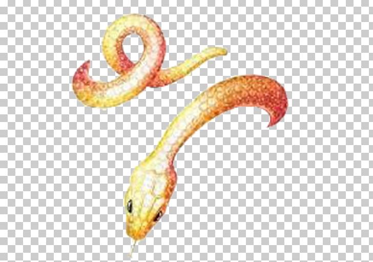 Snake Jewelry Design Jewellery Boucheron Ring PNG, Clipart, Animal, Animals, Are, Designer, Drawing Free PNG Download