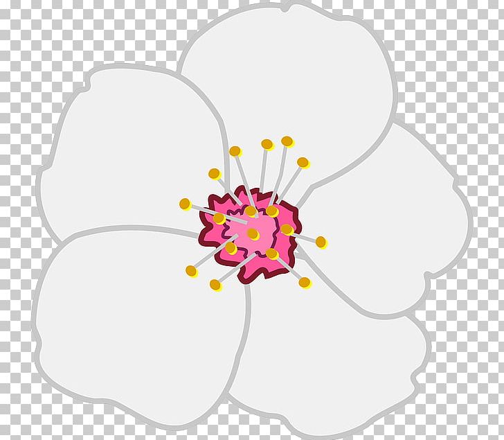 Blossom Drawing Apple Pencil PNG, Clipart, Almond, Apple, Apple Pencil, Area, Artwork Free PNG Download