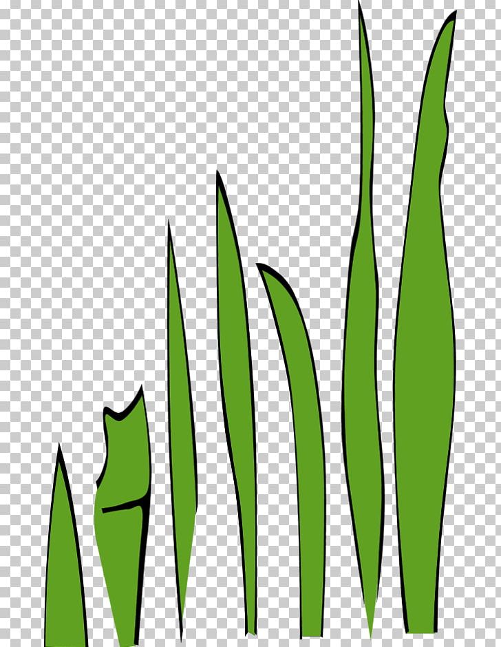 Leaf Grass Plant Stem PNG, Clipart, Cartoon Grass Texture, Commodity, Computer Icons, Flora, Flower Free PNG Download
