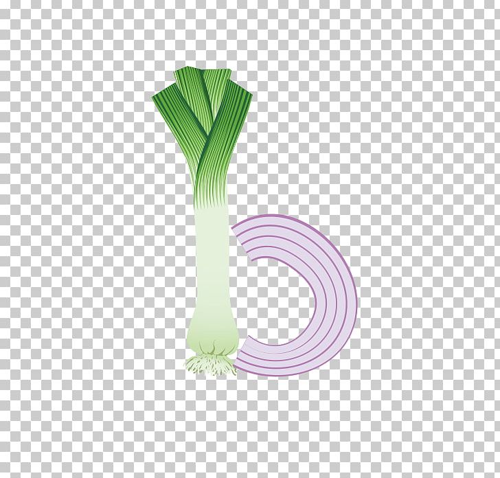 Onion English Alphabet Letter PNG, Clipart, Alphabet, Angle, Cartoon, Chinese, Circle Free PNG Download