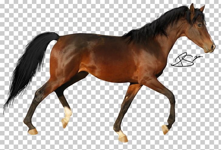 Tennessee Walking Horse Pony PNG, Clipart, Animal, Animal Figure, Bit, Black, Bridle Free PNG Download