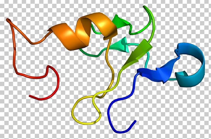 GTF2H2 Transcription Factor II H XPB GTF2H5 ERCC2 PNG, Clipart, Artwork, Ercc2, Gene, General Transcription Factor, Gtf Free PNG Download