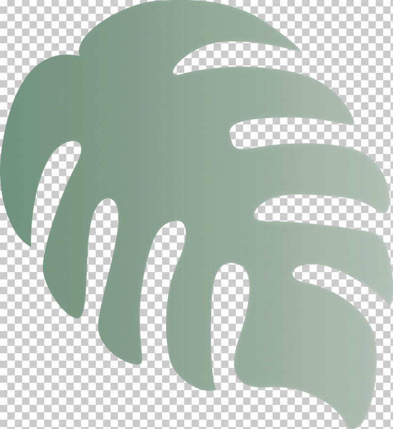 Monstera Tropical Leaf PNG, Clipart, Hm, Meter, Monstera, Tropical Leaf Free PNG Download