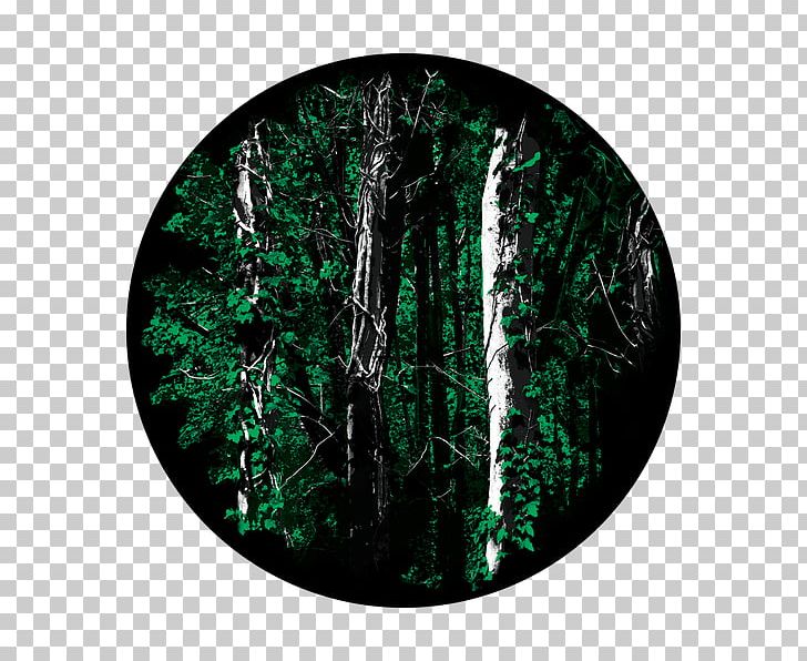 Gobo Forest Glass PNG, Clipart, Backwoods Smokes, Branch, Forest, Glass, Gobo Free PNG Download