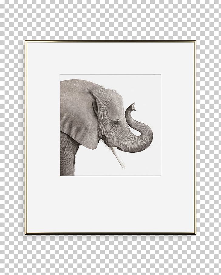 Metal Indian Elephant African Elephant Silver Gold PNG, Clipart, African Elephant, Bengal Tiger, Big Cat, Bright Gold, Cat Free PNG Download