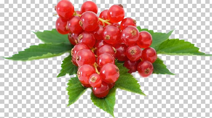 Redcurrant Fruit Berry Tart Pear PNG, Clipart, Avocado, Berry, Blackcurrant, Boysenberry, Ccb Free PNG Download