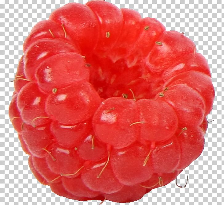 Amora Red Raspberry Fruit Dewberry PNG, Clipart, Amora, Auglis, Berry, Blackberry, Boysenberry Free PNG Download