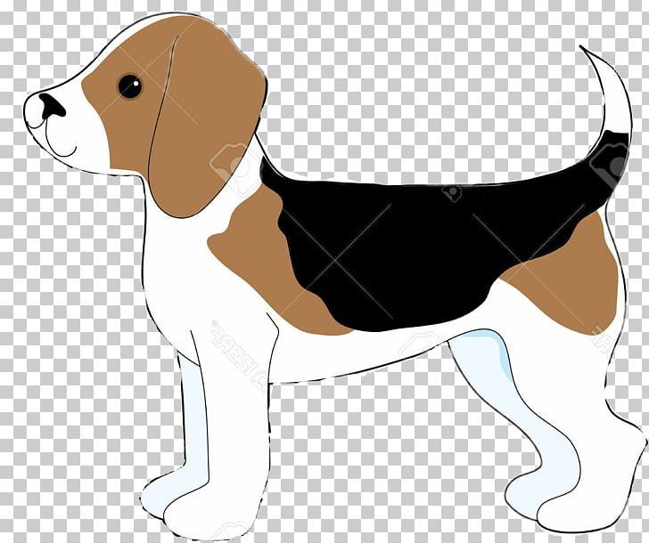 Beagle English Foxhound American Foxhound Harrier Treeing Walker Coonhound PNG, Clipart, Beagle, Beagle Dog, Beagle Puppy, Bell, Black And Tan Coonhound Free PNG Download