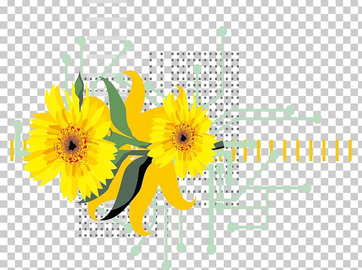 Common Sunflower PNG, Clipart, Computer Wallpaper, Daisy Family, Encapsulated Postscript, Flower, Flower Arranging Free PNG Download