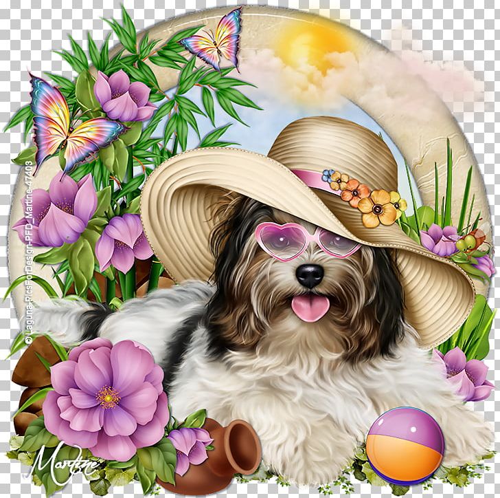 Morkie Puppy Shih Tzu Yorkshire Terrier Dog Breed PNG, Clipart, Animal, Animals, Breed, Carnivoran, Companion Dog Free PNG Download
