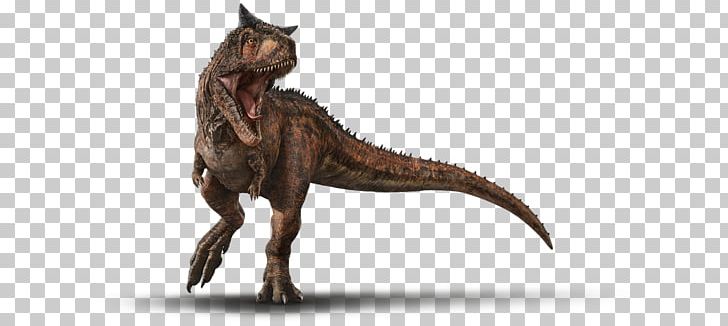 Carnotaurus Jurassic Park Builder Jurassic World Evolution Mosasaurus Dinosaur PNG, Clipart, Ankylosaurus, Claw, Dino, Extinction, Fantasy Free PNG Download