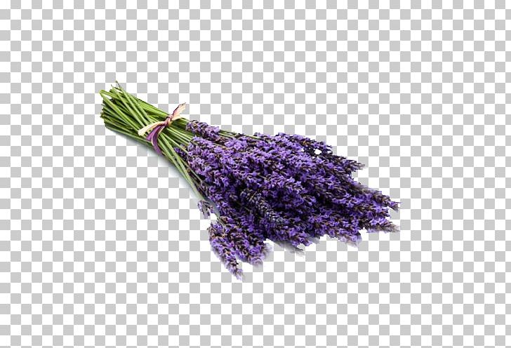 Mothball Stock Photography Lavender PNG, Clipart, Copyright, English Lavender, Flower, Herbal Distillate, Istock Free PNG Download