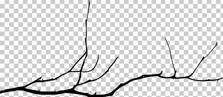 Twig Branch Tree PNG, Clipart, Artwork, Black, Black And White, Branch, Clip Art Free PNG Download