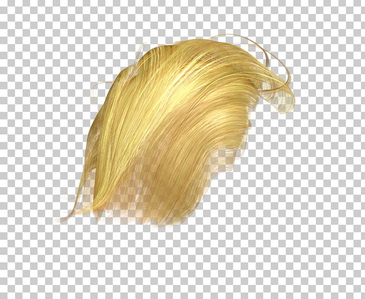 Wig Hair PNG, Clipart, 3d Computer Graphics, Blond, Donald Trump, Gimp, Graphics Software Free PNG Download