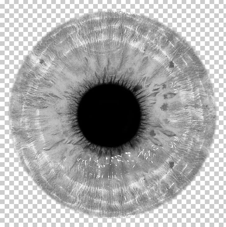 eyeball clip art black and white