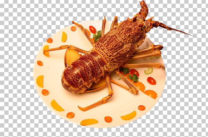 Lobster Seafood Decapoda Palinurus Elephas Dish PNG, Clipart, Animals, Animal Source Foods, Arthropod, Drink, Food Free PNG Download