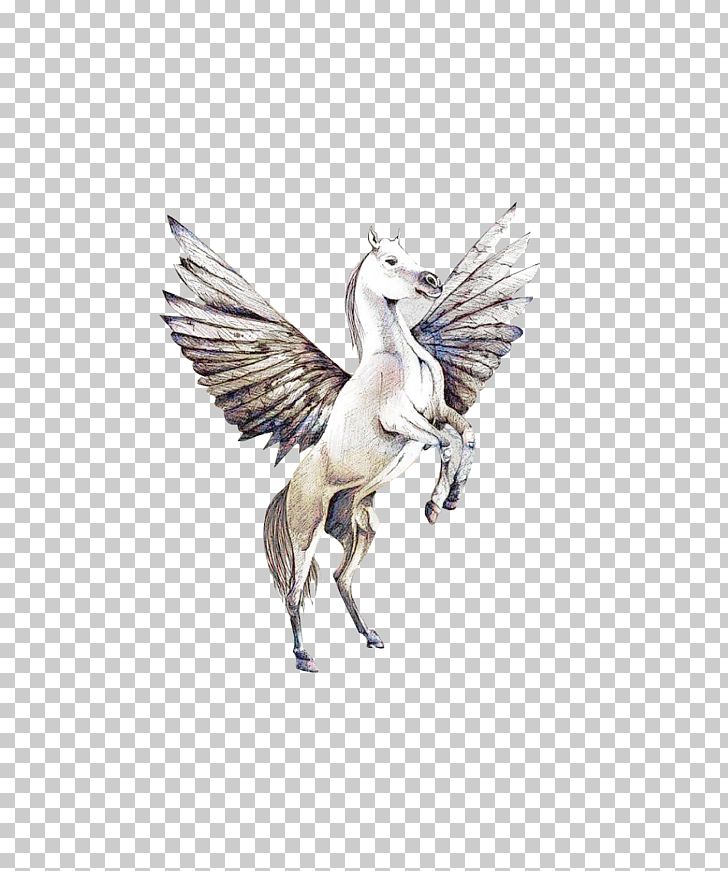 Wing Pegasus PNG, Clipart, Decoration, Download, Encapsulated Postscript, Fantasy, Feather Free PNG Download