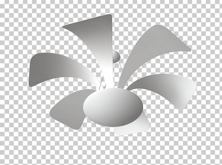 Angle PNG, Clipart, Angle, Black And White, Petal Free PNG Download