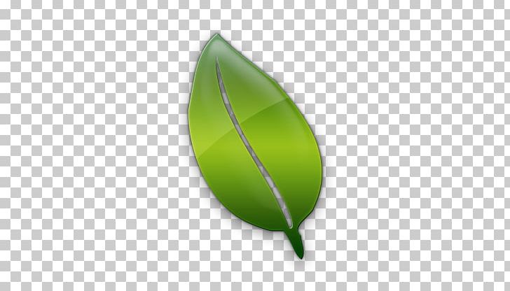 Leaf Computer Icons Cartoon PNG, Clipart, Biologia, Cartoon, Celikhan, Computer Icons, Grass Free PNG Download