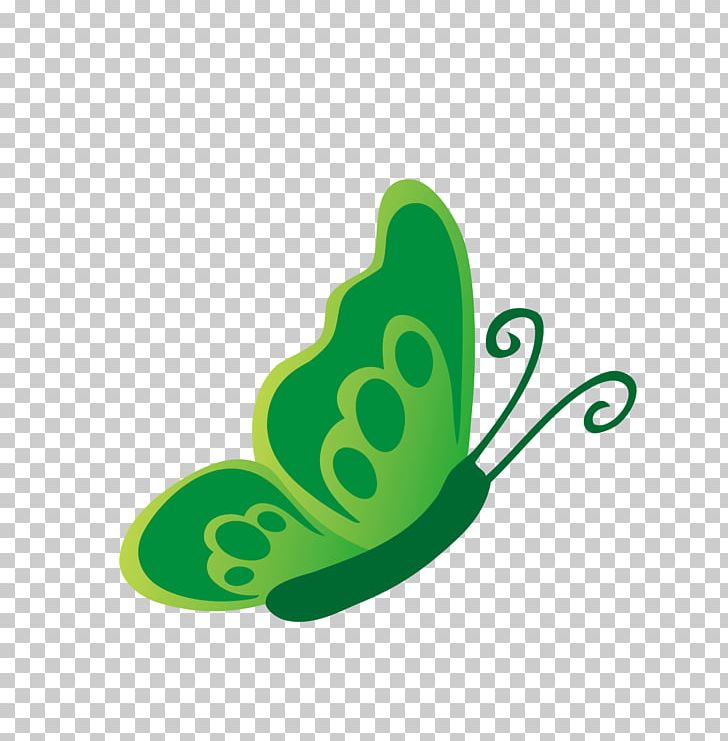 Butterfly Green PNG, Clipart, Blue Butterfly, Butterflies, Butterfly, Butterfly Group, Butterfly Wings Free PNG Download