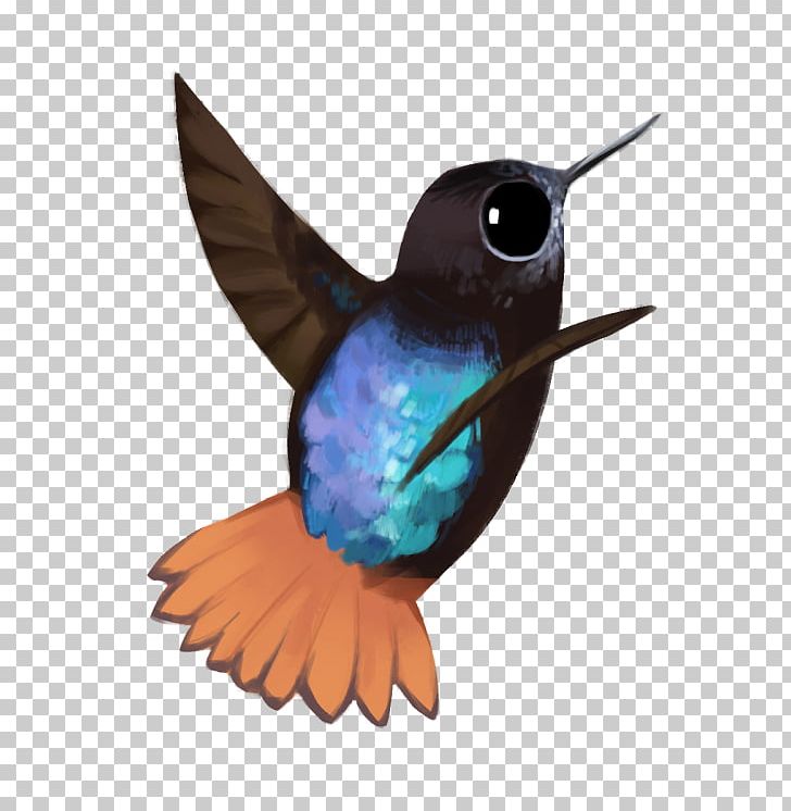 Hummingbird Fauna Beak Feather PNG, Clipart, Beak, Bird, Fauna, Feather, Hummingbird Free PNG Download