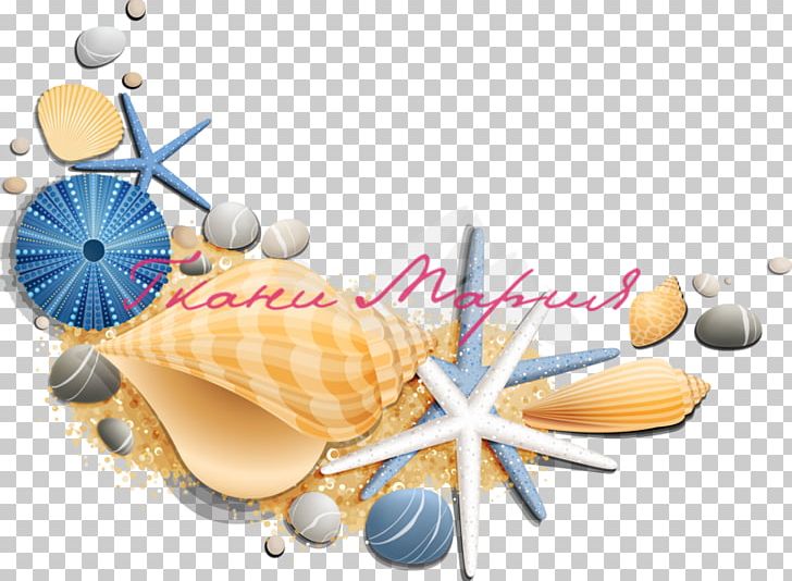 Restaurant Le Coquillage Oyster Seashell PNG, Clipart, Animals, Beach, Computer Wallpaper, Desktop Wallpaper, Mollusc Shell Free PNG Download