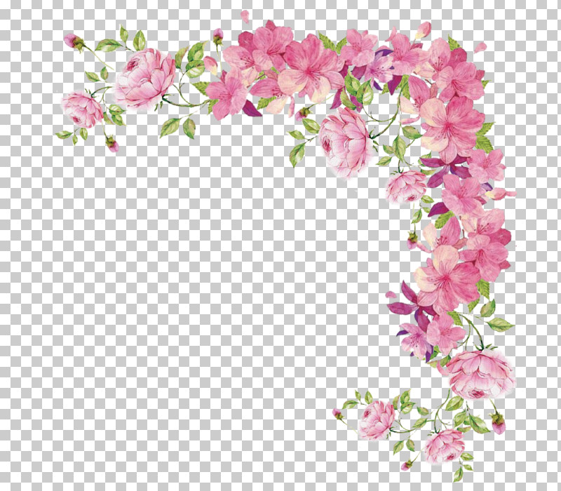 Pink Flower Plant Cut Flowers Lilac PNG, Clipart, Blossom, Branch, Cut Flowers, Flower, Lilac Free PNG Download