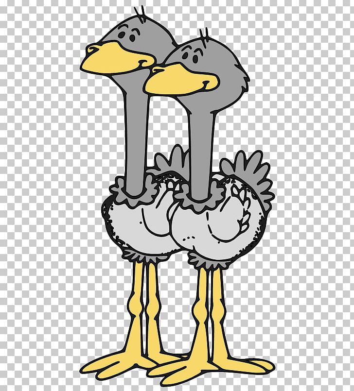 Common Ostrich Bird Hippopotamus PNG, Clipart, Animals, Animation, Artwork, Beak, Bird Free PNG Download
