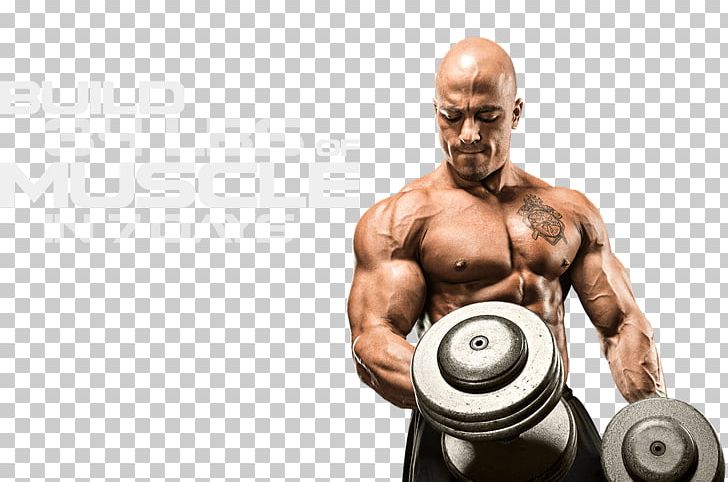 Dietary Supplement MuscleTech Creatine Bodybuilding Fitness Centre PNG, Clipart, Abdomen, Antiobesity Medication, Arm, Barbell, Biceps Curl Free PNG Download