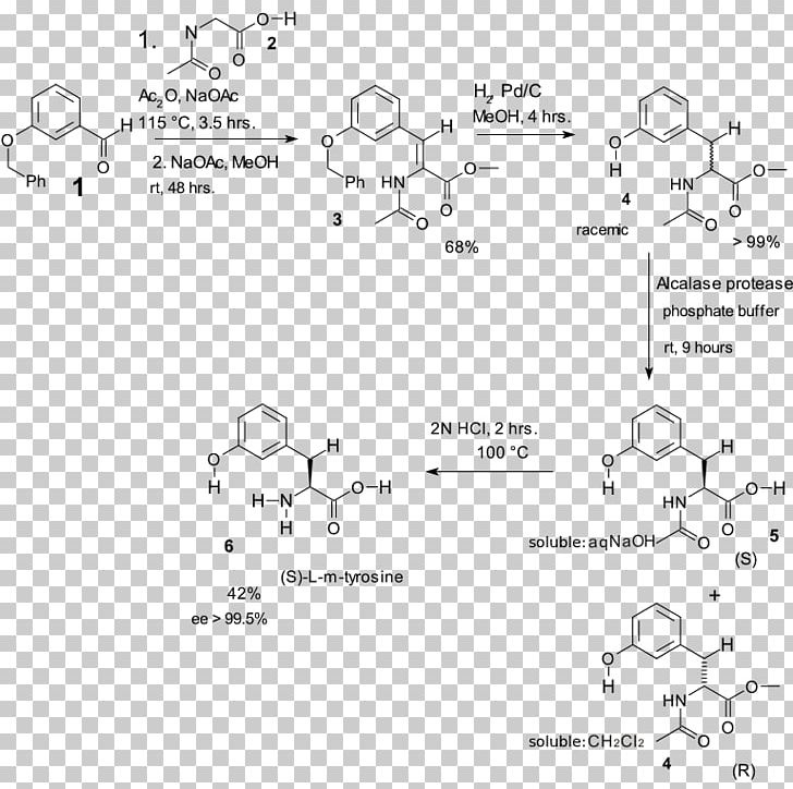 Erlenmeyer–Plöchl Azlactone And Amino-acid Synthesis Amino Acid Synthesis Tyrosine PNG, Clipart, Acid, Amino Acid, Amino Acid Synthesis, Angle, Area Free PNG Download