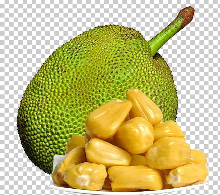 Jackfruit Clipart