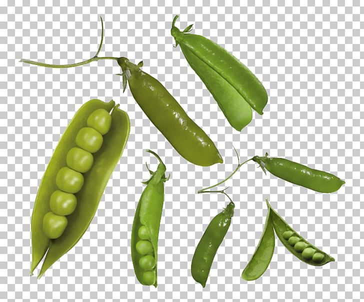 Snap Pea Common Bean PNG, Clipart, Common Bean, Down, Food, Fruit, Fruits And Vegetables Free PNG Download