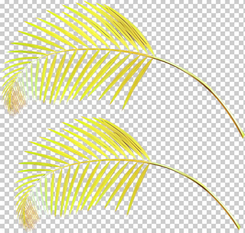 Feather PNG, Clipart, Feather, Leaf, Line, Plant, Yellow Free PNG Download