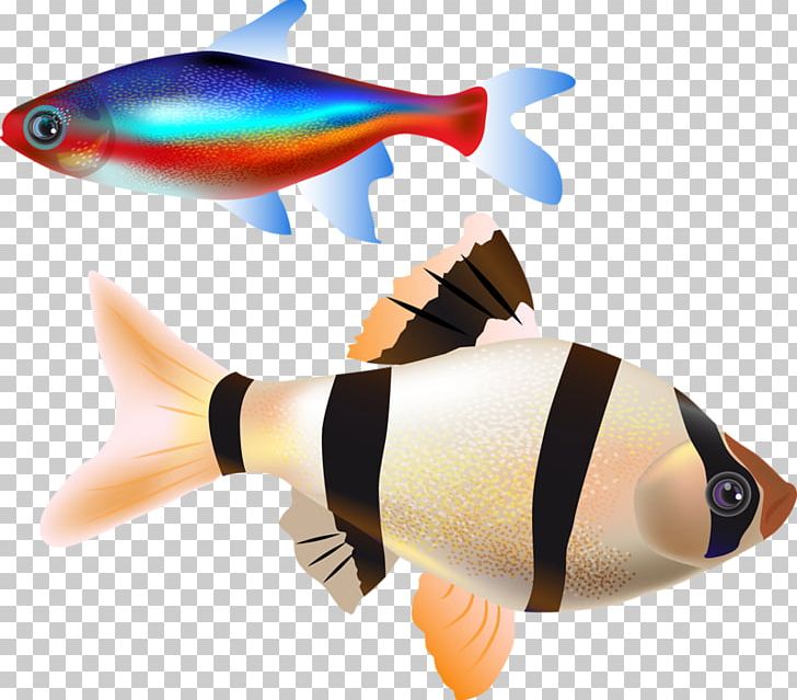Fish PNG, Clipart, Animals, Blog, Coral Reef Fish, Download, Encapsulated Postscript Free PNG Download