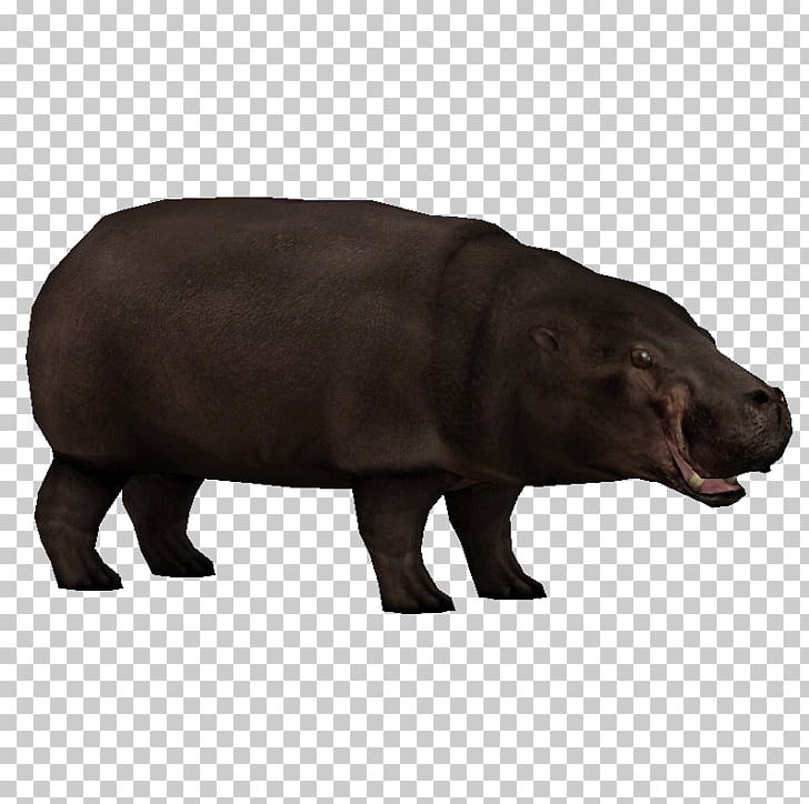 Pygmy Hippopotamus Zoo Tycoon 2: Endangered Species African Bush Elephant The Hippopotamus: River Horse PNG, Clipart, African Bush Elephant, African Elephant, Animal, Animal Figure, Choeropsis Free PNG Download