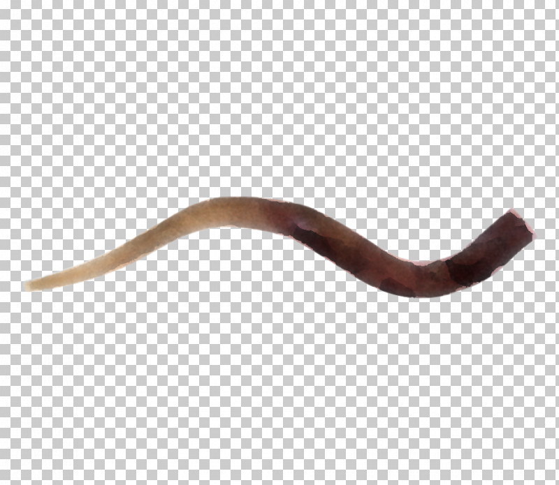 Worm PNG, Clipart, Worm Free PNG Download