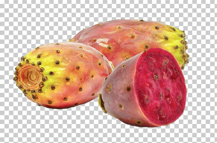 Barbary Fig Cactaceae Pear Fruit Seed Oil PNG, Clipart, Accessory Fruit, Barbary Fig, Berry, Cactaceae, Extract Free PNG Download