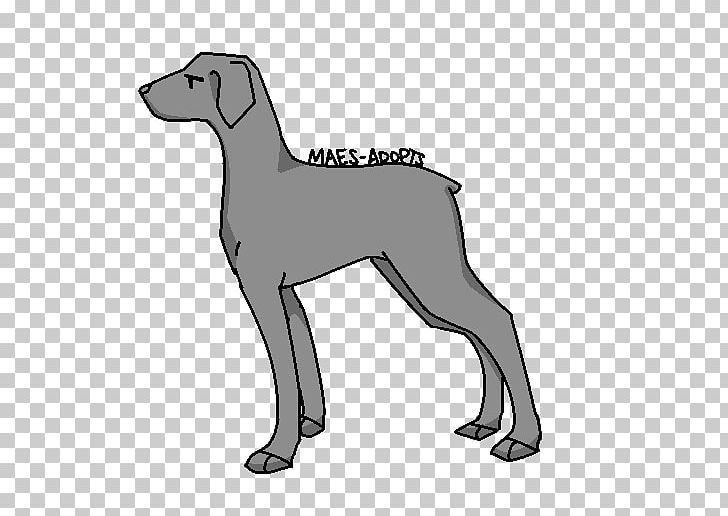 Dog Breed Italian Greyhound Puppy Line Art PNG, Clipart, Animals, Black And White, Breed, Carnivoran, Dog Free PNG Download
