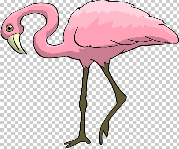 Flamingo Drawing PNG, Clipart, Animal, Animal Figure, Animals, Artwork, Beak Free PNG Download