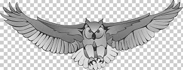 Great Horned Owl Harry Potter Drawing PNG, Clipart, Animals, Artwork, Barn Owl, Beak, Bird Free PNG Download