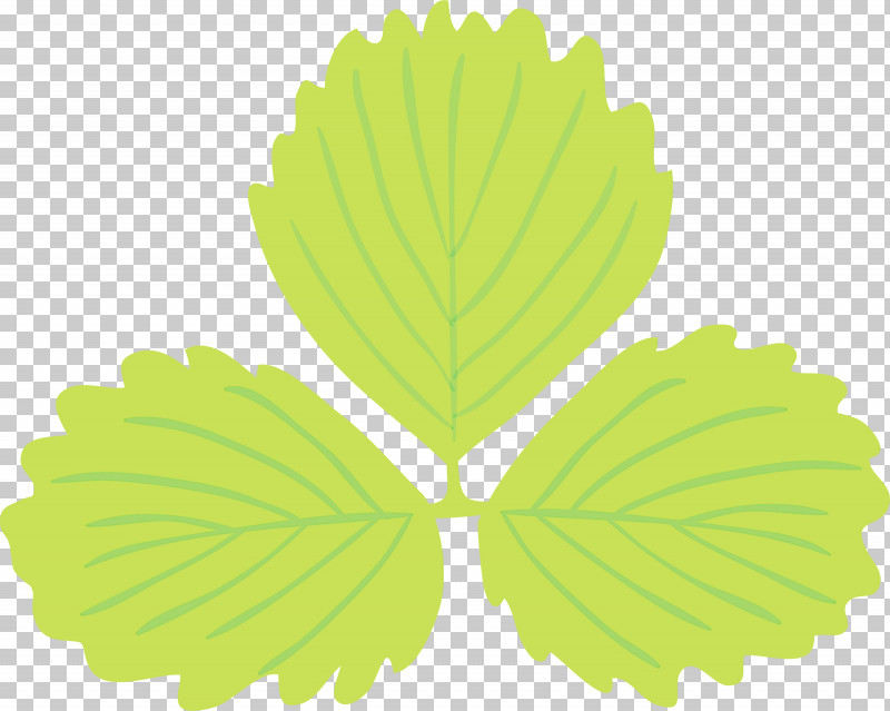Leaf Green M-tree Tree Biology PNG, Clipart, Biology, Green, Leaf, Mtree, Paint Free PNG Download