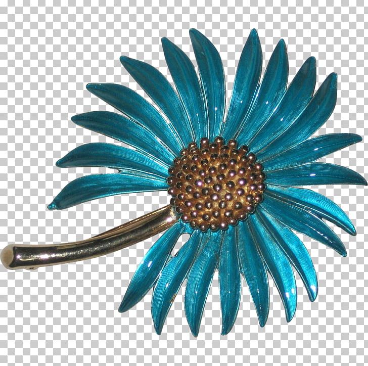 Jewellery Common Daisy Brooch Turquoise Lapel Pin PNG, Clipart, Body Jewellery, Body Jewelry, Brooch, Common Daisy, Daisy Family Free PNG Download