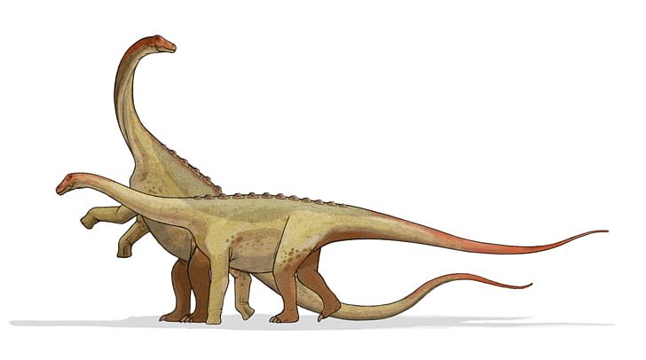 Saltasaurus Argentina Late Cretaceous Maastrichtian Sauropoda PNG, Clipart, Animal Figure, Argentina, Armour, Cretaceous, Dinosaur Free PNG Download