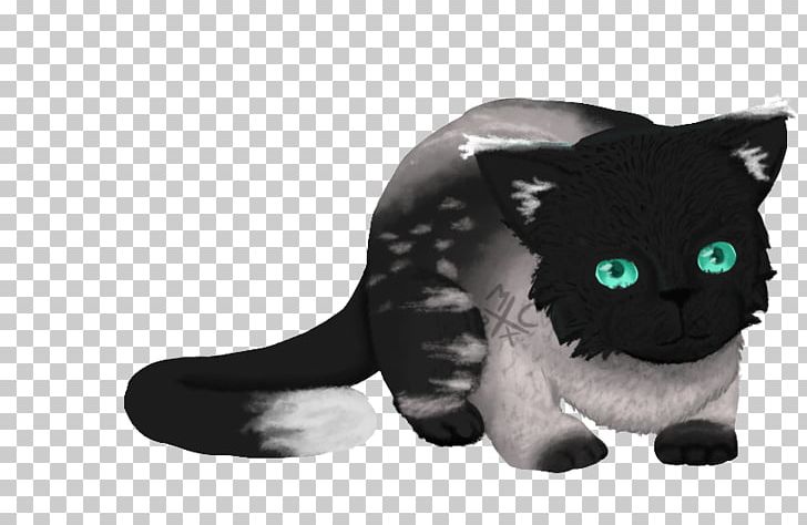 Whiskers Black Cat Snout Puma PNG, Clipart, Animals, Black Cat, Black Panther, Carnivoran, Cat Free PNG Download